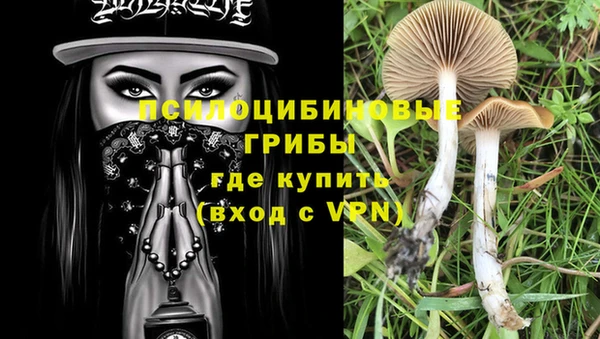 бутират Медвежьегорск