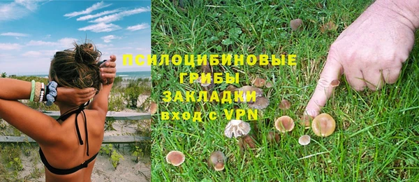 бутират Медвежьегорск