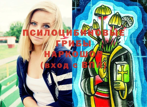 бутират Медвежьегорск