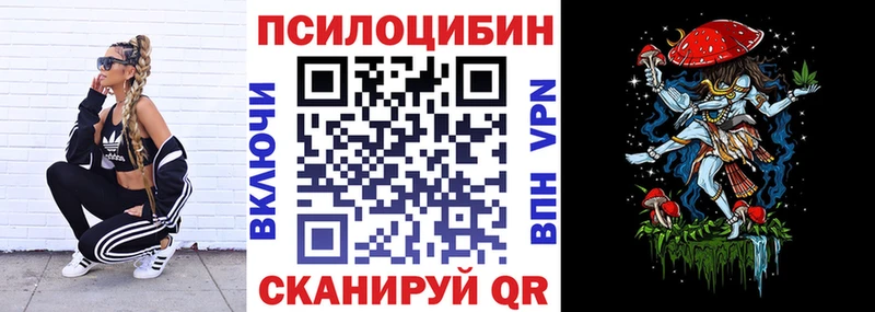 где продают наркотики сайты даркнета формула Галлюциногенные грибы мухоморы Чёрмоз